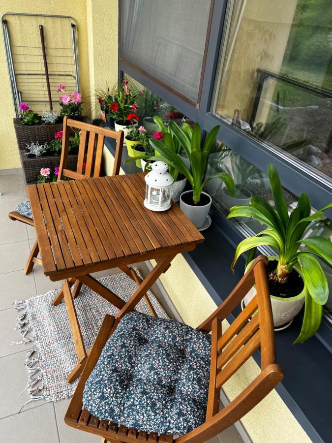 Geliu Apartamentai 帕兰加 外观 照片
